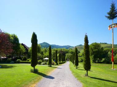 Maibaum Allee im Rebstock Park in Durbach