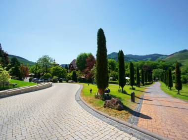 Allee im Rebstock Park Durbach