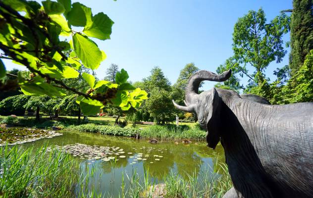 Teich umgeben von grünen Pflanzen &  Elefanten Skulptur