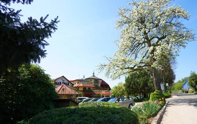 Parkplatz am Rebstock Park in Durbach